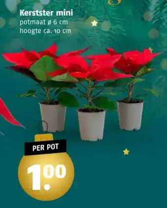 Poiesz Kerstster mini aanbieding