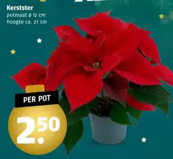 Poiesz Kerstster aanbieding
