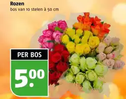 Poiesz Rozen aanbieding