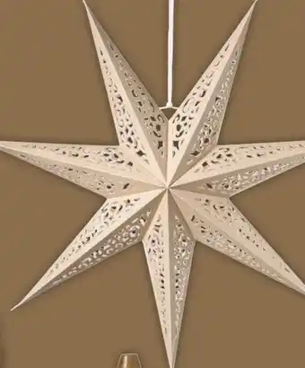 Xenos Kerstster papier aanbieding