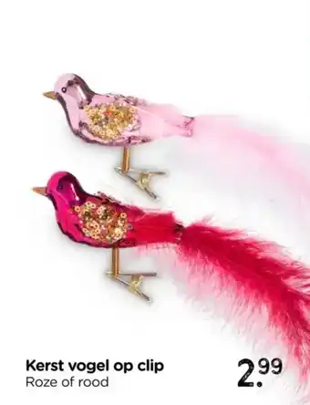 Xenos Kerst vogel op clip aanbieding