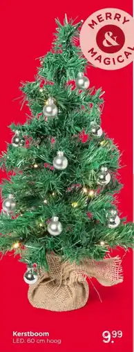 Xenos Kerstboom aanbieding