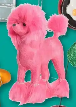 Xenos Poedel aanbieding