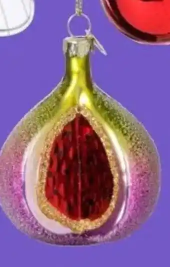 Xenos Vijg aanbieding