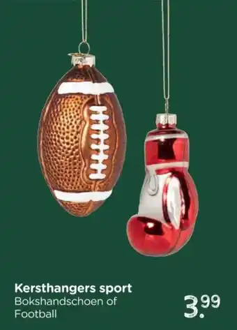 Xenos Kersthangers sport aanbieding