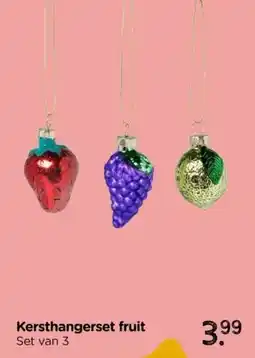 Xenos Kersthangerset fruit aanbieding