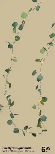 Xenos Eucalyptus guirlande aanbieding
