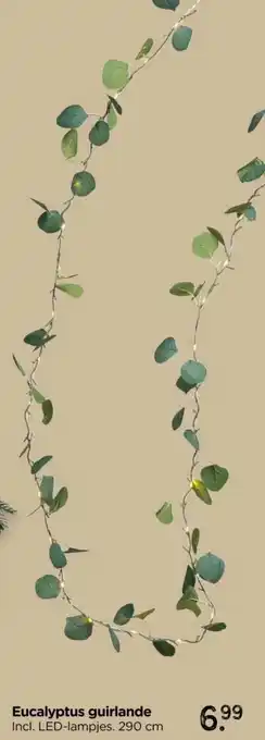 Xenos Eucalyptus guirlande aanbieding