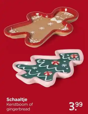 Xenos Schaaltje aanbieding