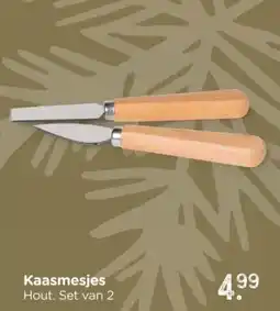 Xenos Kaasmesjes aanbieding