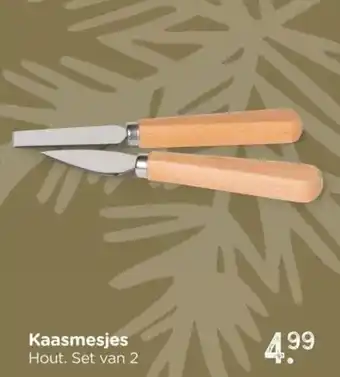 Xenos Kaasmesjes aanbieding