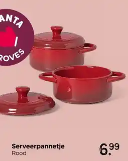 Xenos Serveerpannetje aanbieding