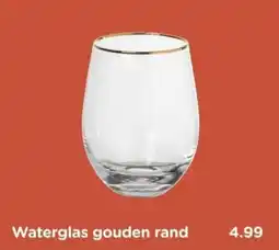 Xenos Waterglas gouden rand aanbieding