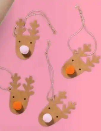 Xenos Cadeautags rendier aanbieding