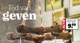 Intratuin Hanger ster aanbieding