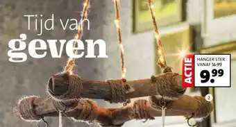 Intratuin Hanger ster aanbieding