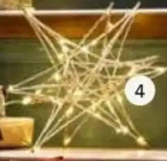 Intratuin Kerstster aanbieding