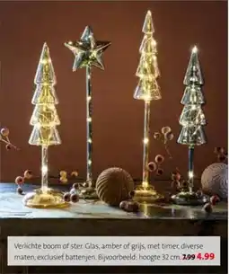 Intratuin Verlichte boom of ster aanbieding