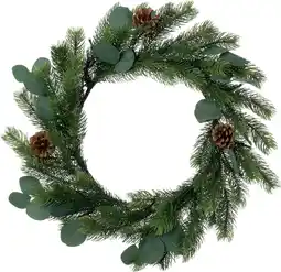 Intratuin Intratuin kerstkrans dennenappels met 30 lampjes warm wit D 45 H 10 cm aanbieding