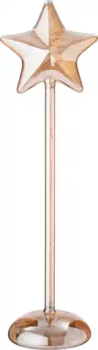 Intratuin Intratuin kerstster Liam oranje met verlichting D 9,3 H 37 cm aanbieding