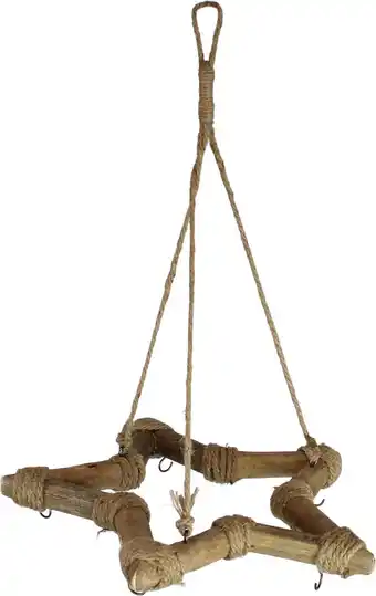 Intratuin Dijk Natural Collections kersthanger ster D 38 H 3,5 aanbieding