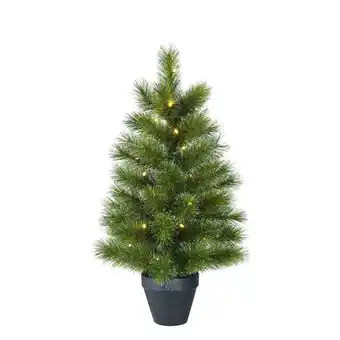 Pets Place Black Box Trees Kerstboom Led 30 Lamps Tips 88 - Kunstgroen - Ø51x90 cm Groen aanbieding