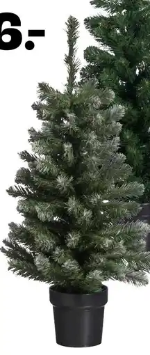 Kwantum Kerstboom aanbieding