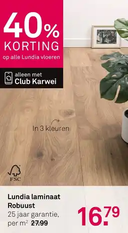 Karwei Lundia laminaat Robuust aanbieding