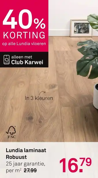 Karwei Lundia laminaat Robuust aanbieding