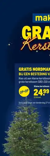Makro Kleine kerstboom aanbieding