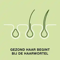 Kruidvat Priorin Capsules aanbieding