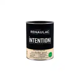 Praxis Renaulac Intention Muurverf - Extra Mat - Feelin' Good - 1L aanbieding