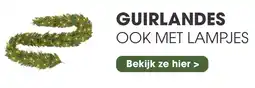 Coppelmans Guirlandes aanbieding