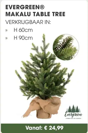 Coppelmans Evergreen makalu table tree aanbieding