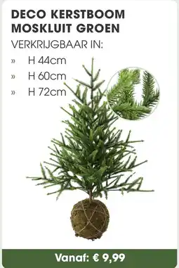 Coppelmans Deco kerstboom moskluit groen aanbieding