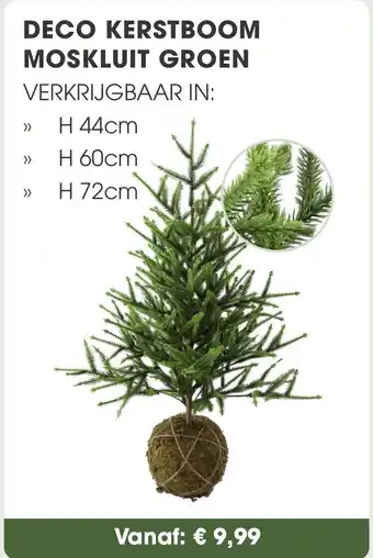 Coppelmans Deco kerstboom moskluit groen aanbieding