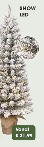 Coppelmans SNOW LED aanbieding