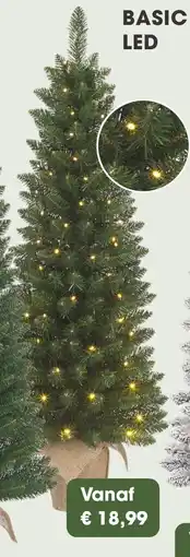 Coppelmans Basic led aanbieding