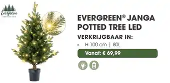 Coppelmans Evergreen janga potted tree led aanbieding
