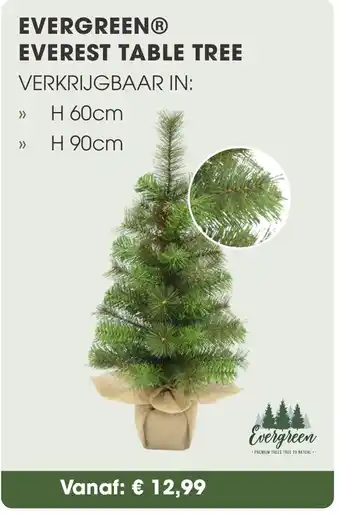 Coppelmans Evergreen everest table tree aanbieding