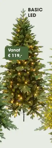 Coppelmans Basic led aanbieding