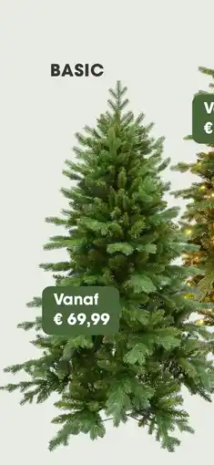 Coppelmans Evergreen Janga slim x mas tree Basic aanbieding