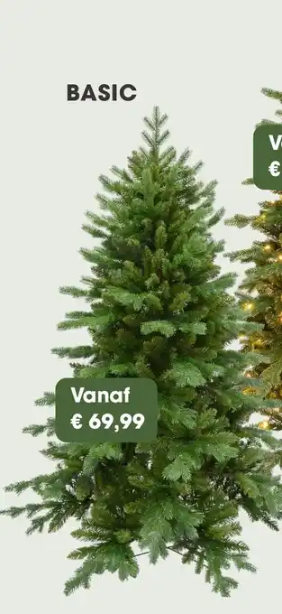 Coppelmans Evergreen Janga slim x mas tree Basic aanbieding
