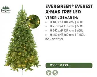 Coppelmans Evergreen everest x mas tree led aanbieding