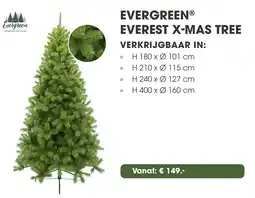 Coppelmans Evergreen everest x mas tree aanbieding