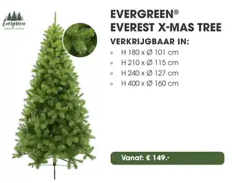 Coppelmans Evergreen everest x mas tree aanbieding