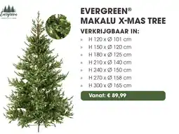 Coppelmans Evergreen makalu x mas tree aanbieding