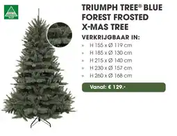 Coppelmans Triumph tree blue forest frosted x mas tree aanbieding