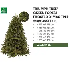 Coppelmans Triumph tree green forest frosted x mas tree aanbieding
