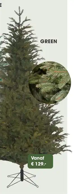 Coppelmans Black box frasier x mas tree Green aanbieding
